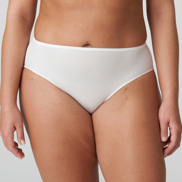 Satin high briefs