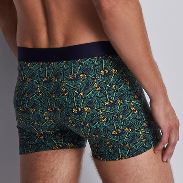 Aubade AubadeMen boxer herre-shorts 2 stk green life Grøn 4