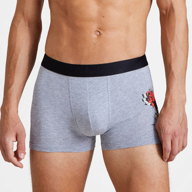 Aubade AubadeMen Boxer herre-shorts true love Rød 1